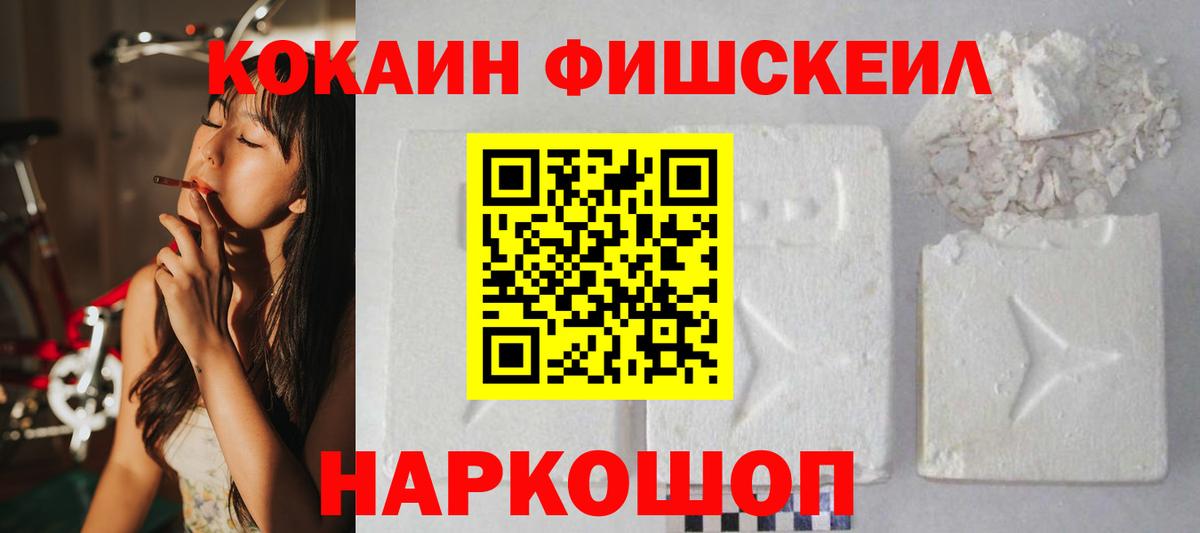 КОКАИН Fish Scale Камышлов