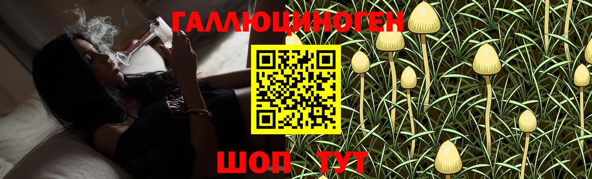 Псилоцибиновые грибы Magic Shrooms  Галлюциногенные грибы прущие грибы  купить  сайты  Вход с VPN  Камышлов 